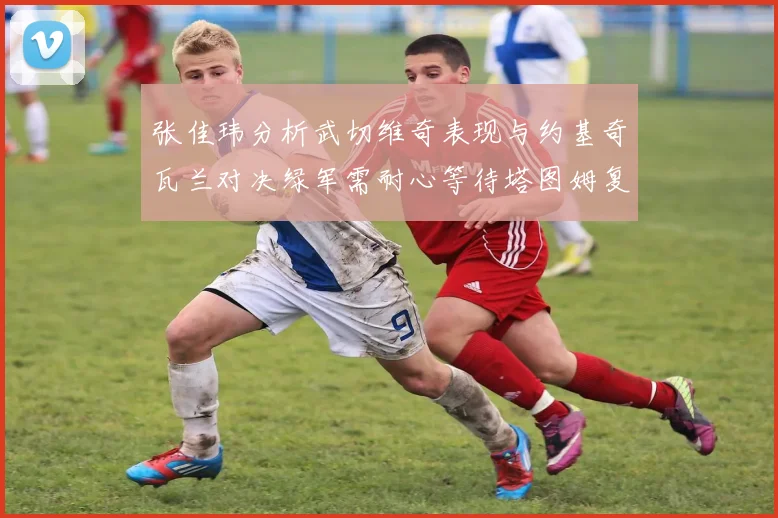 张佳玮分析武切维奇表现与约基奇瓦兰对决绿军需耐心等待塔图姆复出